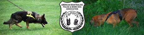 AMA Fall Seminar